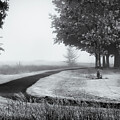 Footpath into the Mist by James Barber
