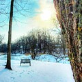 Footsteps in the Snow by Andrea Whitaker
