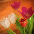 For The Love Of Tulips by Dodie Ross