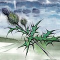Forage Thistle by Tammy Nara