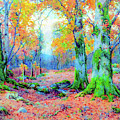 Forest Enchantment by Jane Small