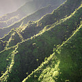 Forest Footprint Photograph by Slow Fuse Photography