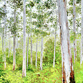Forest trees in the spring light by Jan Matson