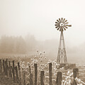 Forgotten Notes in the Fog by Philippe Sainte-Laudy