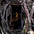 Forgotten Temple - Wat Ban Kung, Thailand Photograph by Earth And Spirit Forgotten Temple - Wat Ban Kung, Thailand Photograph by Earth And Spirit