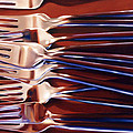 Forks by Dianna Ponting Forks by Dianna Ponting