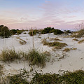 Fort Clinch Dunes, Amelia Island, Florida Photograph by Dawna Moore Photography