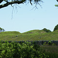 Fort Fisher Mound Battery Photograph by Heather E Harman Fort Fisher Mound Battery Photograph by Heather E Harman