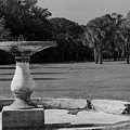 Fountain Ruin, Cumberland Island Photograph by John Simmons Fountain Ruin, Cumberland Island Photograph by John Simmons