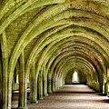 Fountains Abbey Cistercian monastery vaulted stone arch ceiling  by Reimar Gaertner