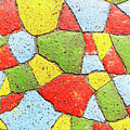 Four color theorem Photograph by Viktor Wallon-Hars Four color theorem Photograph by Viktor Wallon-Hars