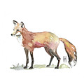 Foxy by Luisa Millicent Foxy by Luisa Millicent