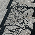 Fractured by Richard Wetterauer Fractured by Richard Wetterauer
