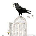 Free as a Bird Mixed Media by Moira Law Free as a Bird Mixed Media by Moira Law
