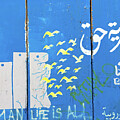 Freedom Is A Right by Munir Alawi