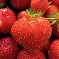 Fresh Strawberries Photograph by Karen Rispin Fresh Strawberries Photograph by Karen Rispin