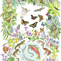 Friends of the Eel River by Lucy Arnold