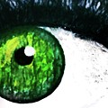 Frightening Eye Painting by Anna Adams Frightening Eye Painting by Anna Adams