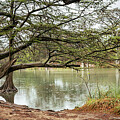 Frio River Reflections - Garner State Park, Texas by Brigitte Blanchette Thompson