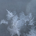 Frost And Ice Abstract Photograph by Karen Rispin Frost And Ice Abstract Photograph by Karen Rispin