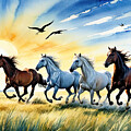 Galloping Horses at Sunset by Kim Hojnacki