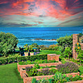 Garden By The Sea Photograph by David Zanzinger Garden By The Sea Photograph by David Zanzinger