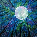 Garden of Shadows Painting by Joel Tesch Garden of Shadows Painting by Joel Tesch