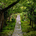 Garden Path in Kyoto by W Chris Fooshee