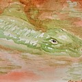 Gator by Angela J Murray