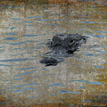 Gator by Norman Reid