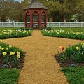 Gazebo in the Center by Kathi Isserman