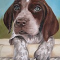 German Shorhaired Pointer Puppy Painting by Jindra Noewi German Shorhaired Pointer Puppy Painting by Jindra Noewi