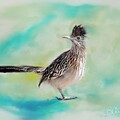 Get Your Beep On Roadrunner by Barbara Chichester