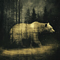 Ghost Bear in the Woods DBY 91 by Yo Pedro