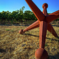 Giant Jack Sculpture in the Vineyard by Leslie Brashear