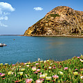 Gibraltar of the Pacific-- Morro Rock Photograph by David Levin Gibraltar of the Pacific-- Morro Rock Photograph by David Levin