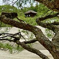 Ginkaku-ji, Kyoto, Japan by Sheila Smart Fine Art Photography