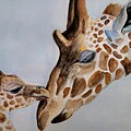 Giraffe and Baby by Angela Brunson