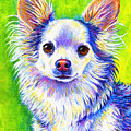 Colorful Cute Longhaired Chihuahua Dog Painting by Rebecca Wang Colorful Cute Longhaired Chihuahua Dog Painting by Rebecca Wang