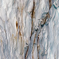 Glaucous gull and glacier by Jane Rix