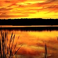Glorious Sunset Photograph by Mary Walchuck Glorious Sunset Photograph by Mary Walchuck