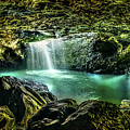 Glow Worm Grotto Photograph by Az Jackson