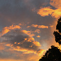 Glowing sky Photograph by Adriana Mueller Glowing sky Photograph by Adriana Mueller