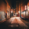 Go Down This Alley  by Rodney Lee Williams