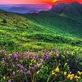 Goat Wall Photograph by Evgeni Dinev Goat Wall Photograph by Evgeni Dinev
