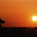 Gobi evening Photograph by Elbegzaya Lkhagvasuren Gobi evening Photograph by Elbegzaya Lkhagvasuren