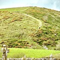 Gods Acre Corfe Dorset by Gordon James