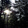 Gods Got This Sunrise by Frank J Casella