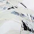 Gold and Cream III by Chris Paschke