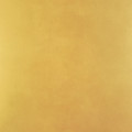 Gold Dust Painting by Tamara Nelson Gold Dust Painting by Tamara Nelson
